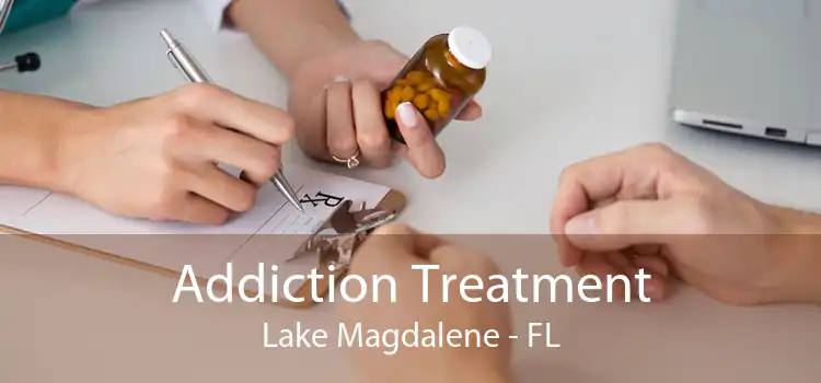 Addiction Treatment Lake Magdalene - FL