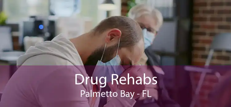 Drug Rehabs Palmetto Bay - FL