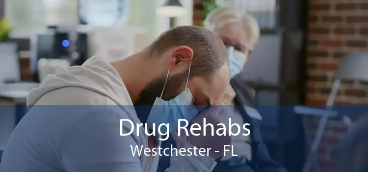 Drug Rehabs Westchester - FL